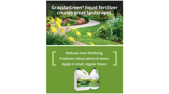 Website mobile view: GrassSoGreen micro-site, Home