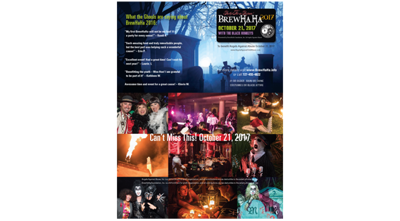 Sponsor package; Gallery page, 2017 event