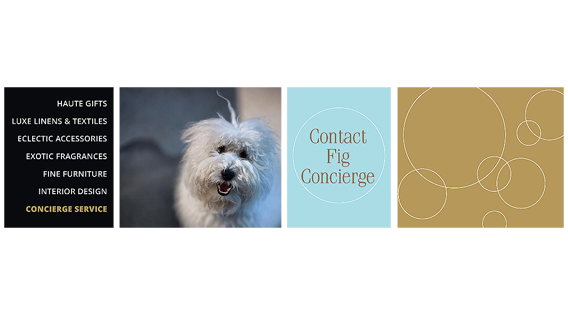 Website: Contact us banner