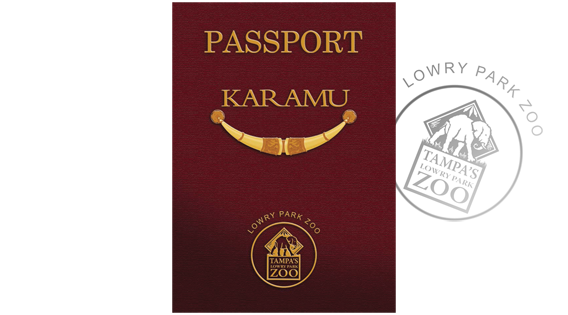 Bwana pre-party Invitation cover